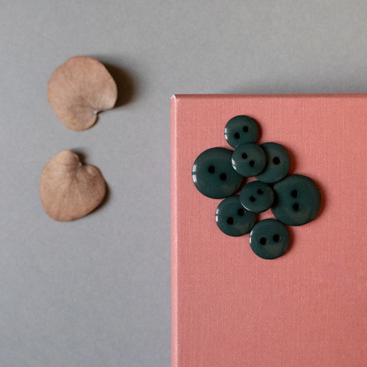 Miniature 1